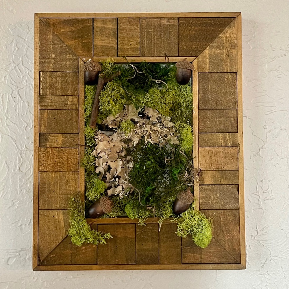 Dried pressed flowers, moss art work, moss wall art, home decor, wall decor,